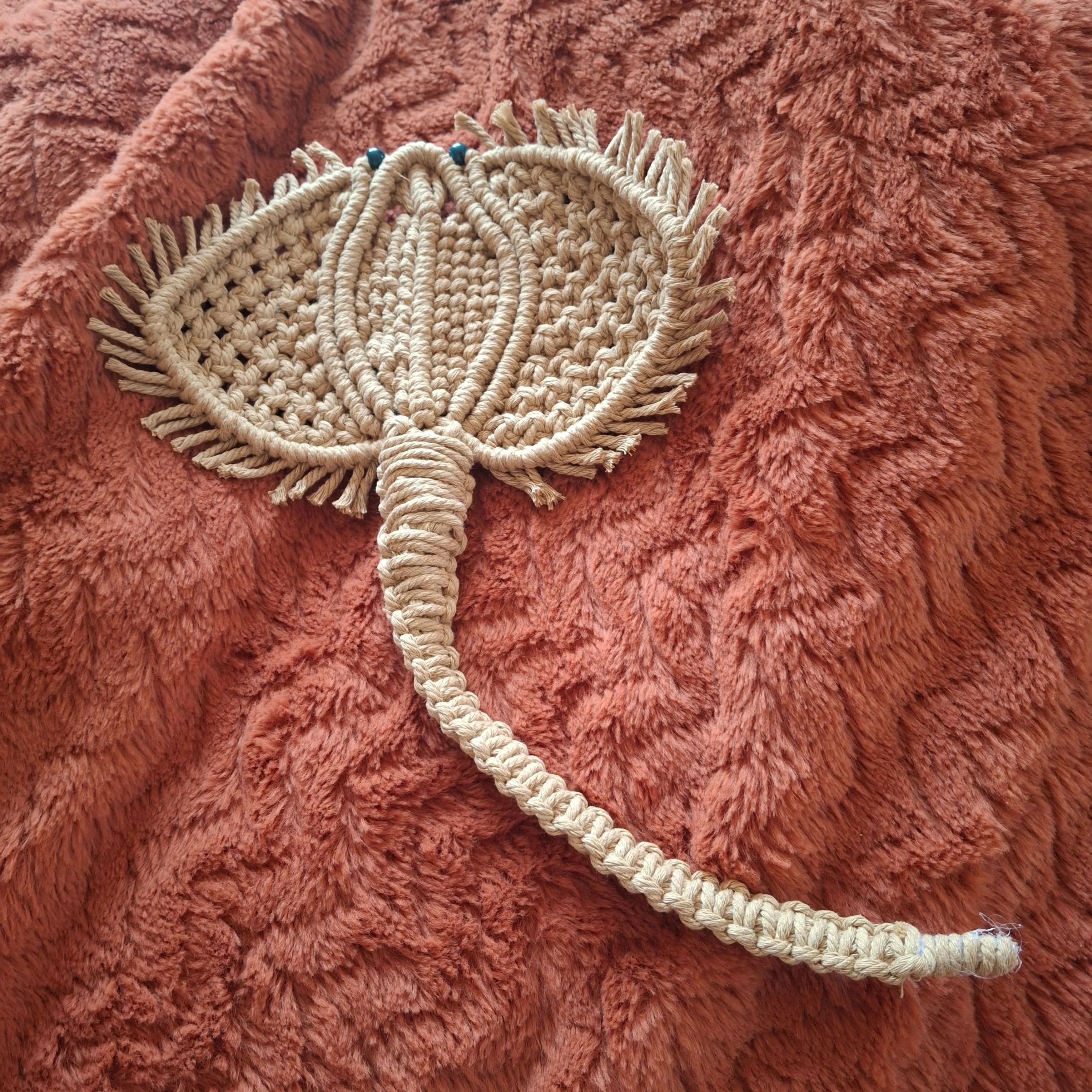 Raie en macramé